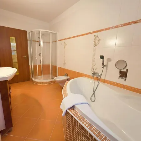 Apartment Ivana - Free Parking Karlovy Vary